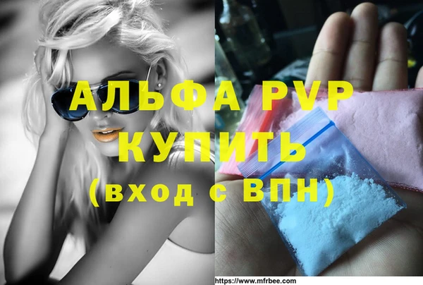 стафф Арсеньев